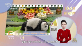 在线播放葵千惠激烈潮催
